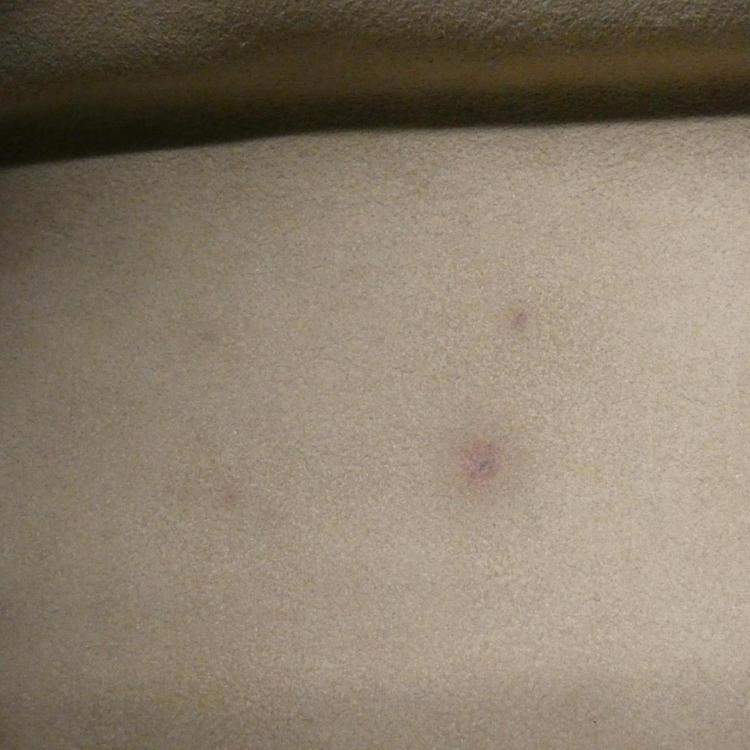 Pre Owned Louis Vuitton Two-Tone Monogram Empreinte On-The-Go Pm Handbag