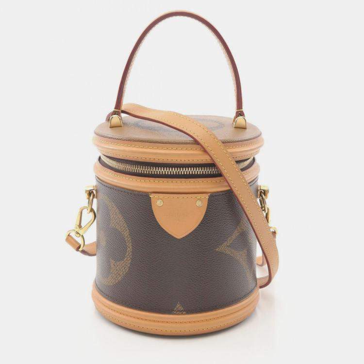 Pre Owned Louis Vuitton Cannes Brown Coated Canvas, Leather Top Handle Bag