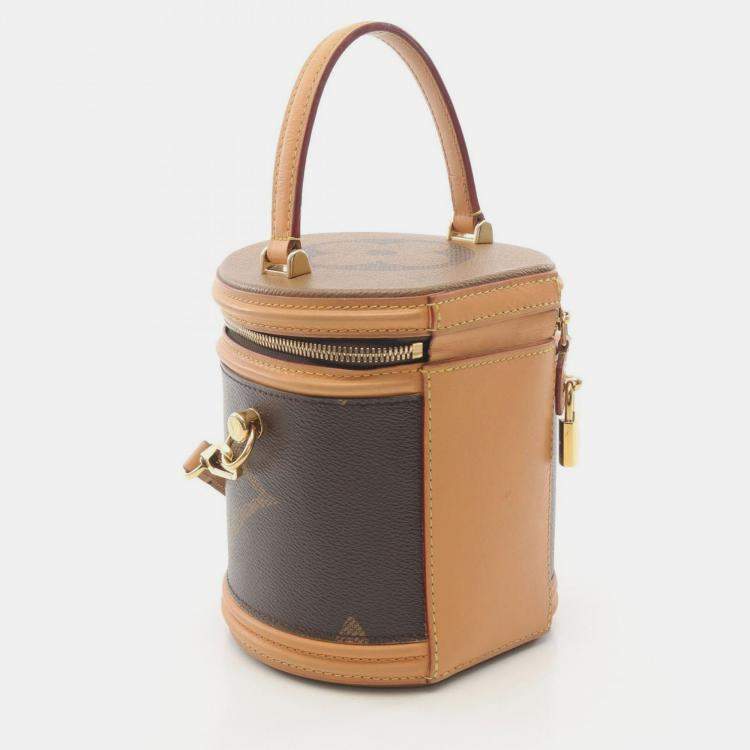 Pre Owned Louis Vuitton Cannes Brown Coated Canvas, Leather Top Handle Bag