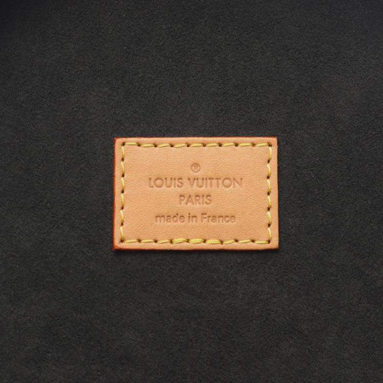 Pre Owned Louis Vuitton Cannes Brown Coated Canvas, Leather Top Handle Bag