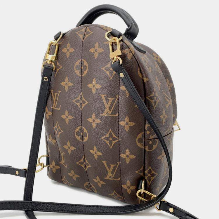 Pre Owned Louis Vuitton Palm Springs Backpack Brown Monogram Size Mini