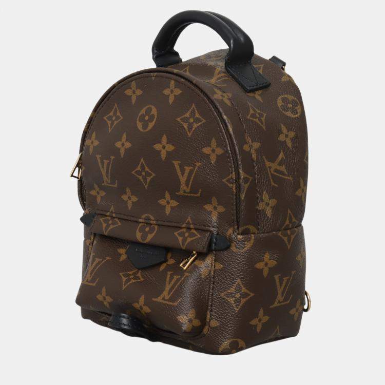 Pre Owned Louis Vuitton Brown Monogram Mini Palm Springs Backpack