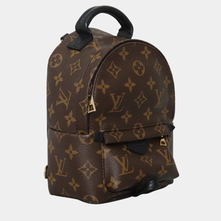 Pre Owned Louis Vuitton Brown Monogram Mini Palm Springs Backpack