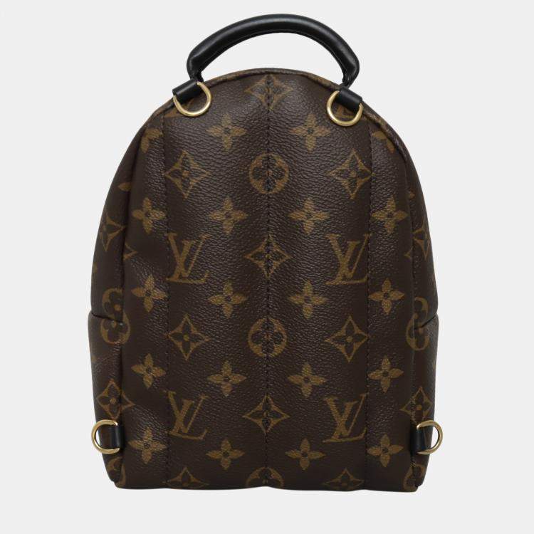 Pre Owned Louis Vuitton Brown Monogram Mini Palm Springs Backpack