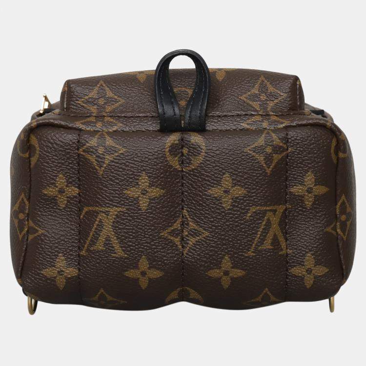 Pre Owned Louis Vuitton Brown Monogram Mini Palm Springs Backpack