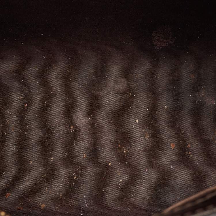 Pre Owned Louis Vuitton Brea NM PM Amarante Monogram Vernis Bag