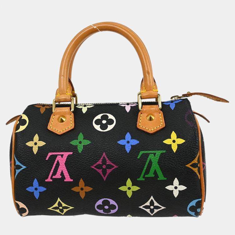 Pre Owned Louis Vuitton Multicolor Mini Speedy Handbag