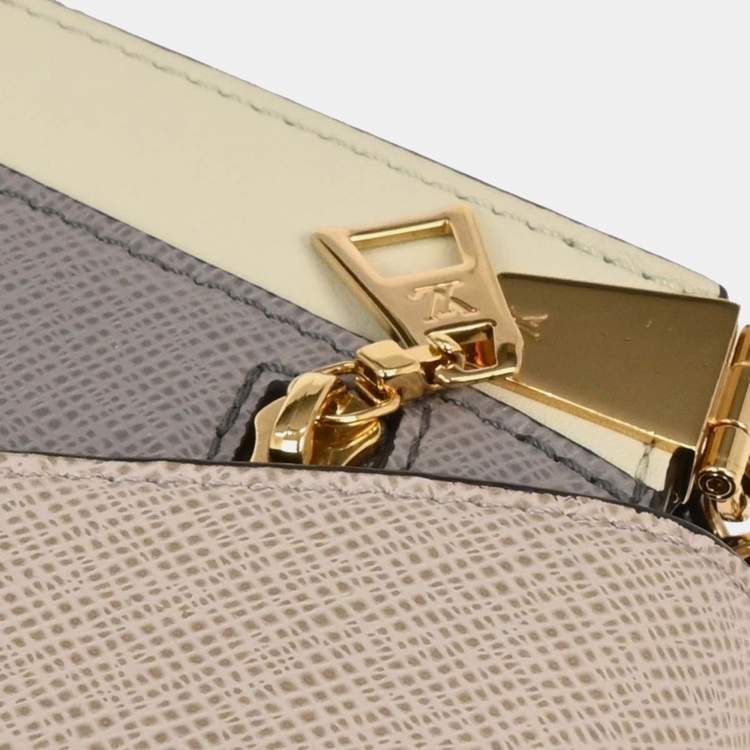 Pre Owned Louis Vuitton Trapeze Multicolor Taiga Leather Shoulder Bag