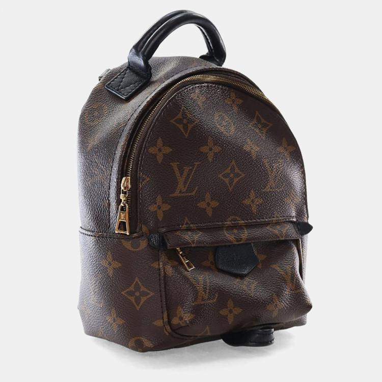 Pre Owned Louis Vuitton Monogram Palm Springs Mini