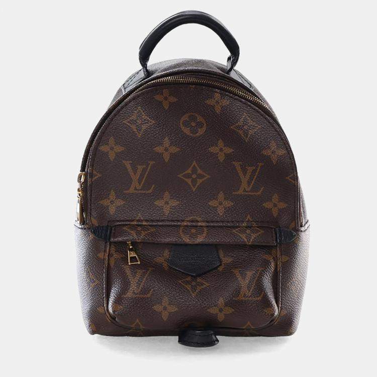 Pre Owned Louis Vuitton Monogram Palm Springs Mini