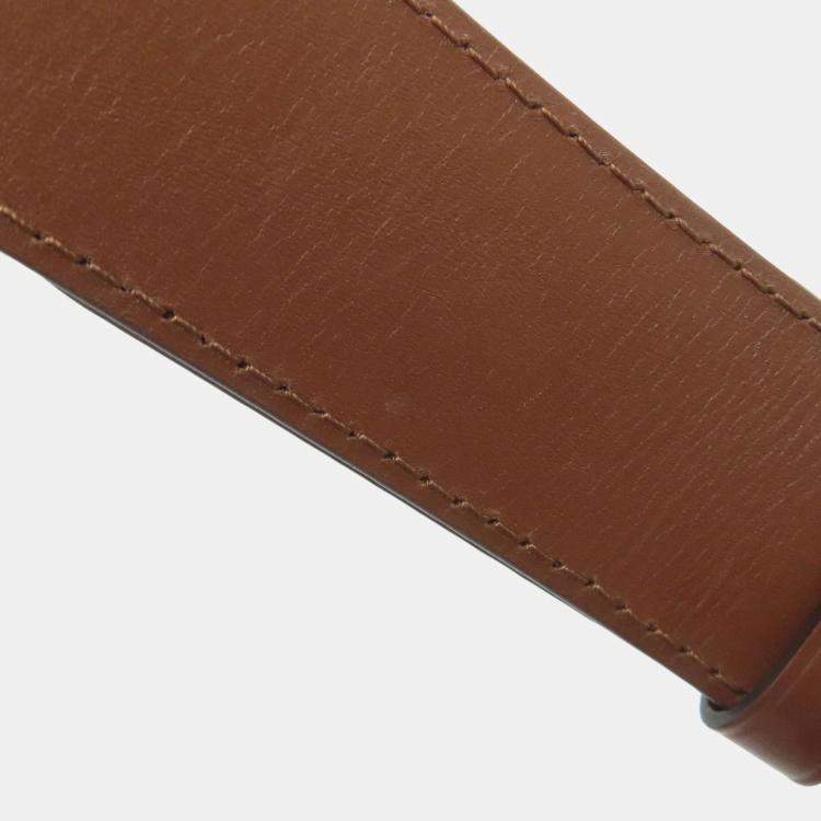 Pre Owned Louis Vuitton Papillon Trunk Brown Monogram Coated Canvas Shoulder Bag