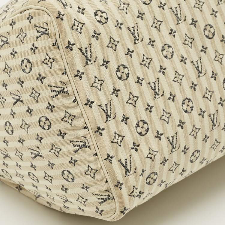 مملوكة مسبقًا حقيبة لوي فيتون سبيدي 30 دون مونوجرام ميني لين كانفاس