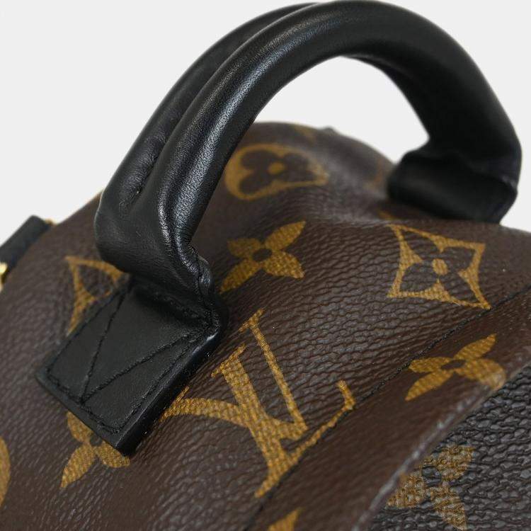 Pre Owned Louis Vuitton World Tour Palm Springs Mini Backpack