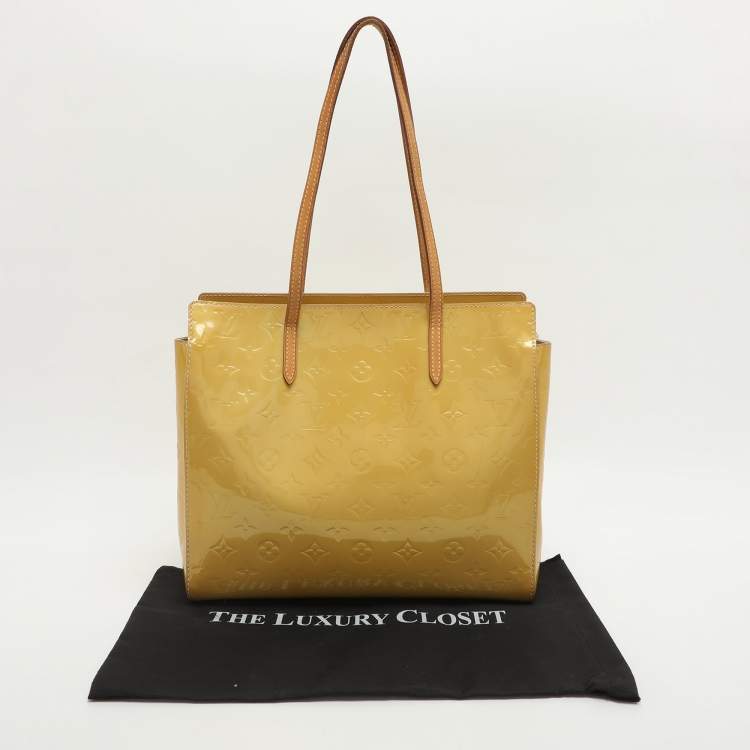 Pre Owned Louis Vuitton Catalina Vert Impression Vernis Bag