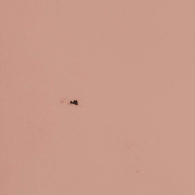 Pre Owned Louis Vuitton NeoNoe BB Rose/Ballerine Epi Leather Bag