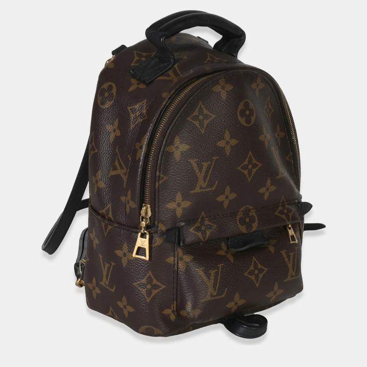 مملوكة مسبقًا Louis Vuitton Monogram Canvas Mini Palm Springs