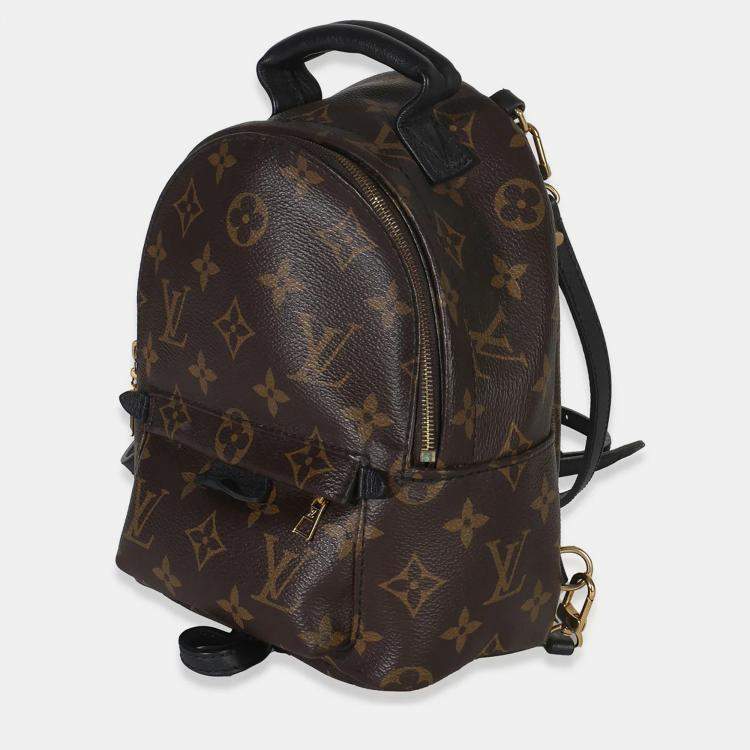 مملوكة مسبقًا Louis Vuitton Monogram Canvas Mini Palm Springs
