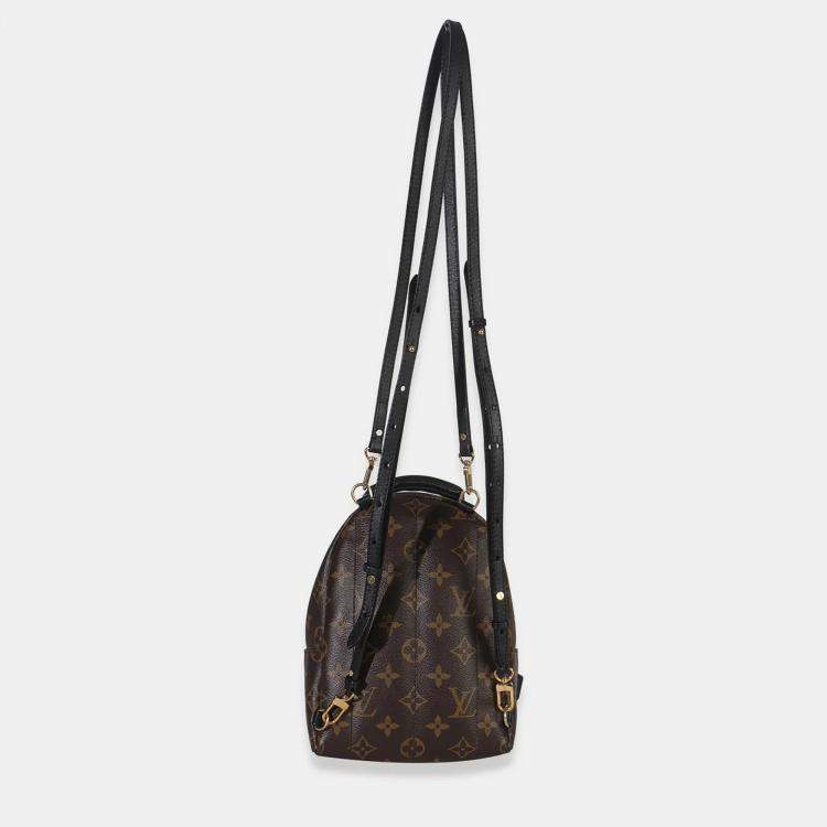مملوكة مسبقًا Louis Vuitton Monogram Canvas Mini Palm Springs