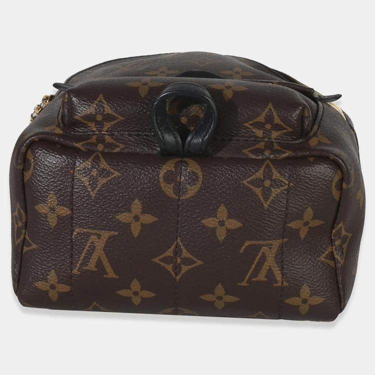 مملوكة مسبقًا Louis Vuitton Monogram Canvas Mini Palm Springs