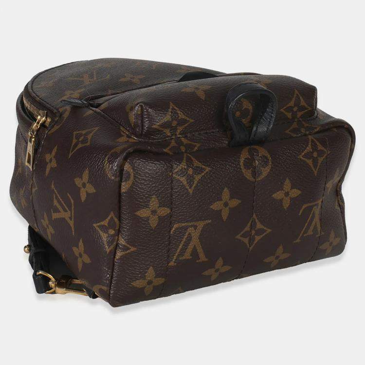 مملوكة مسبقًا Louis Vuitton Monogram Canvas Mini Palm Springs