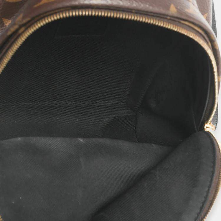 مملوكة مسبقًا Louis Vuitton Monogram Canvas Mini Palm Springs