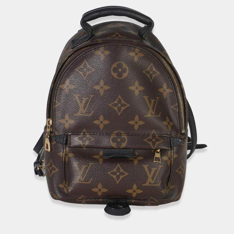 مملوكة مسبقًا Louis Vuitton Monogram Canvas Mini Palm Springs