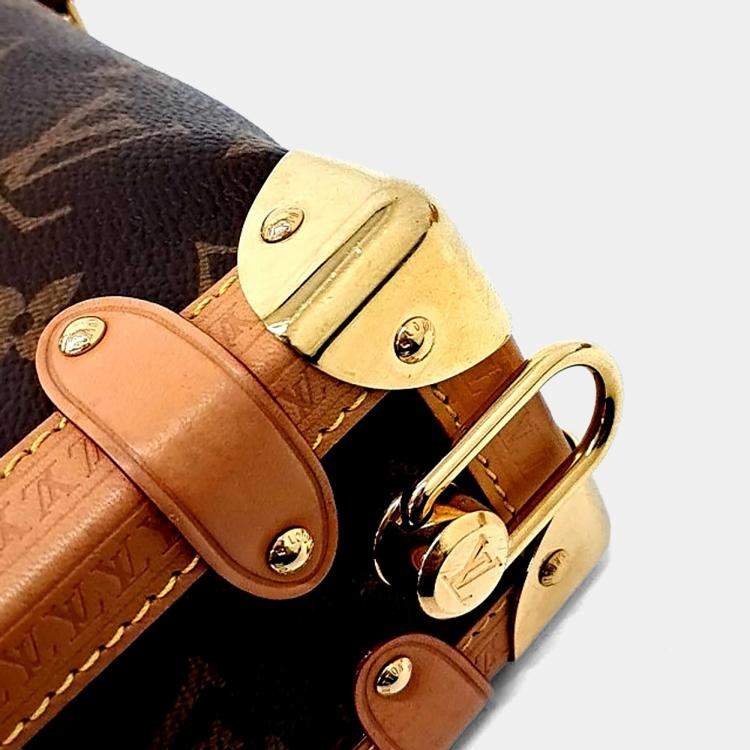 Pre Owned Louis Vuitton Brown PVC Side Trunk PM