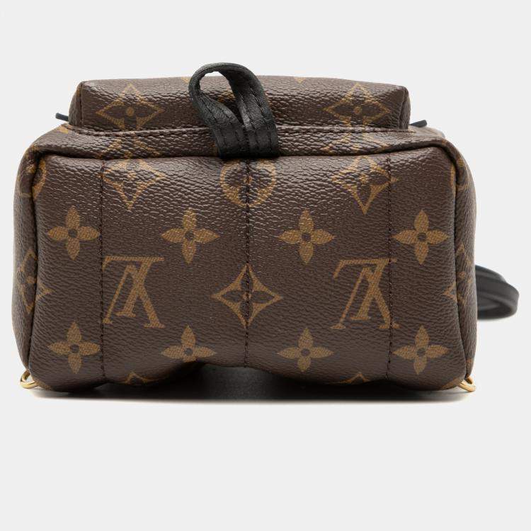 Pre Owned Louis Vuitton Brown Monogram Mini Palm Springs