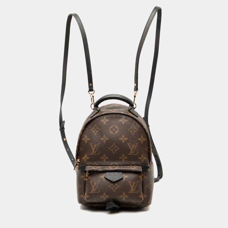 Pre Owned Louis Vuitton Brown Monogram Mini Palm Springs
