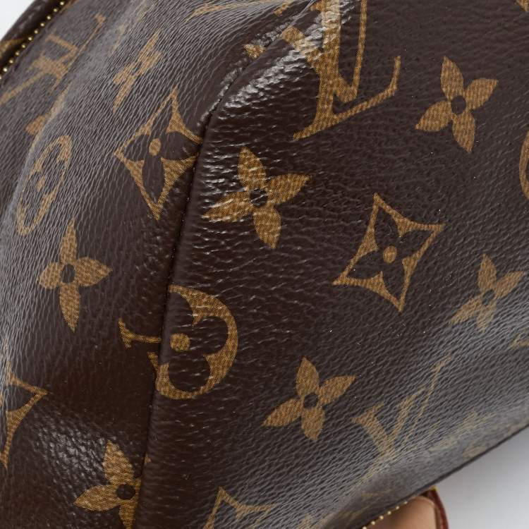 Pre Owned Louis Vuitton Monogram Canvas Bumbag