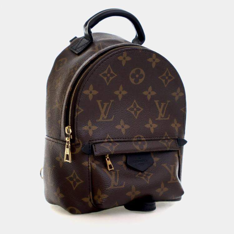 Pre Owned Louis Vuitton Monogram Palm Springs Mini
