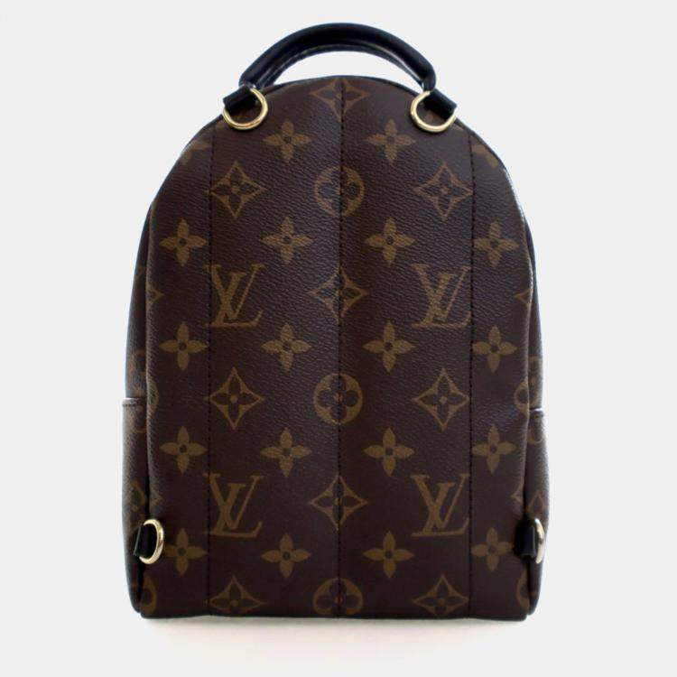 Pre Owned Louis Vuitton Monogram Palm Springs Mini