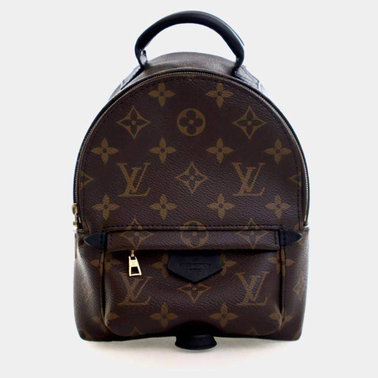 Pre Owned Louis Vuitton Monogram Palm Springs Mini