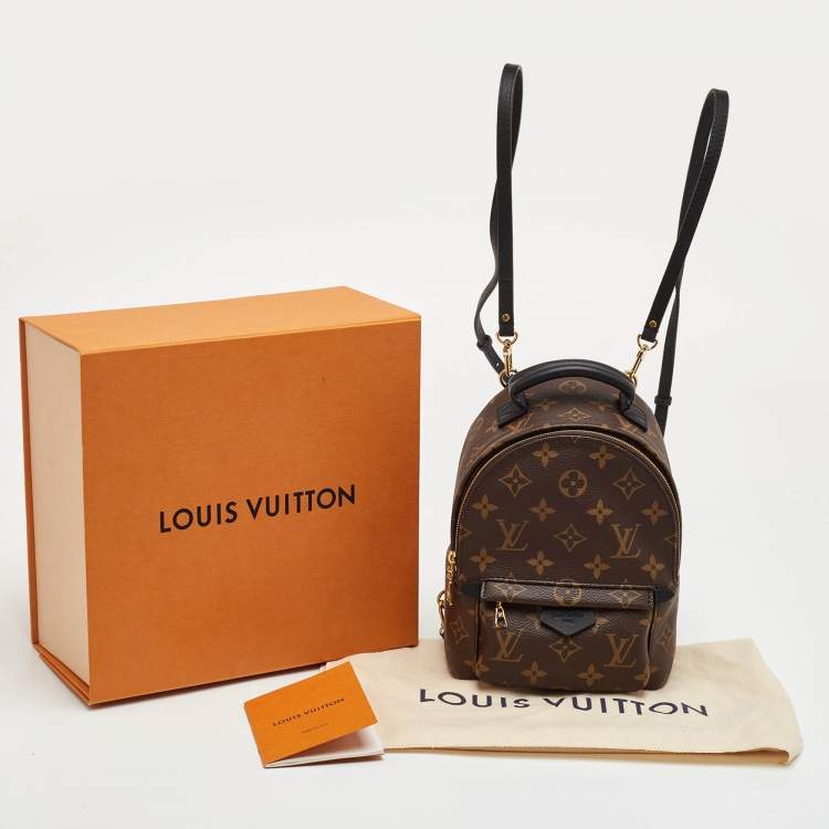 Pre Owned Louis Vuitton Palm Springs Mini Monogram Canvas Backpack