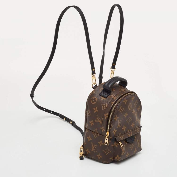 Pre Owned Louis Vuitton Palm Springs Mini Monogram Canvas Backpack