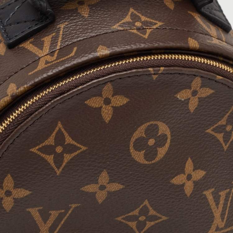 Pre Owned Louis Vuitton Palm Springs Mini Monogram Canvas Backpack