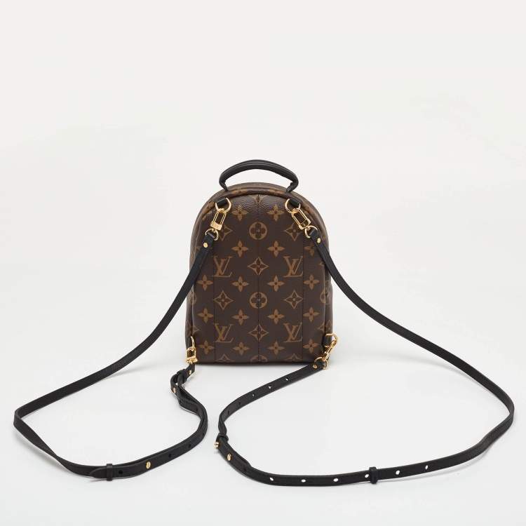 Pre Owned Louis Vuitton Palm Springs Mini Monogram Canvas Backpack