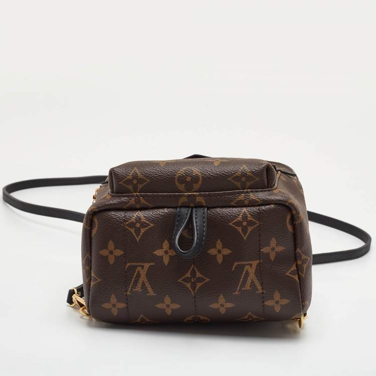 Pre Owned Louis Vuitton Palm Springs Mini Monogram Canvas Backpack