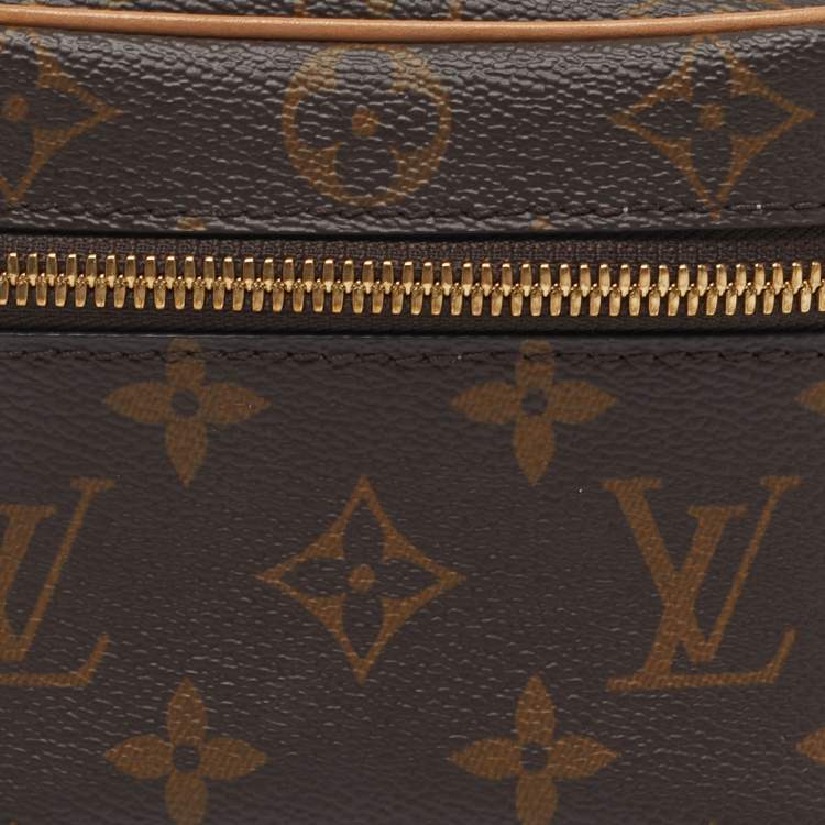 Pre Owned Louis Vuitton Nice Nano Monogram Canvas Pouch Clutch