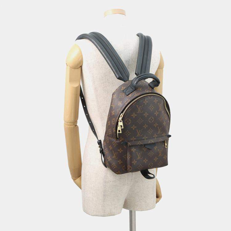 Pre Owned Louis Vuitton Palm Springs Backpack Noir Monogram Size Pm
