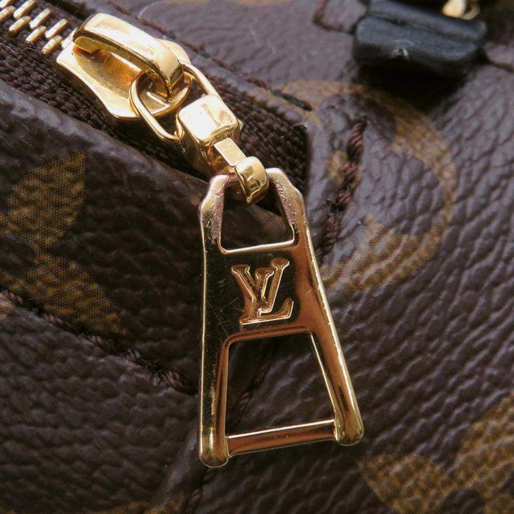 Pre Owned Louis Vuitton Palm Springs Backpack Noir Monogram Size Mini