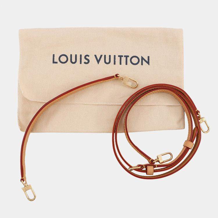 Pre Owned Louis Vuitton Nano Diane Brown Monogram