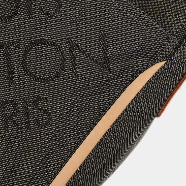 Pre Owned Louis Vuitton Terre Damier Geant Citadin PM Shoulder Bag