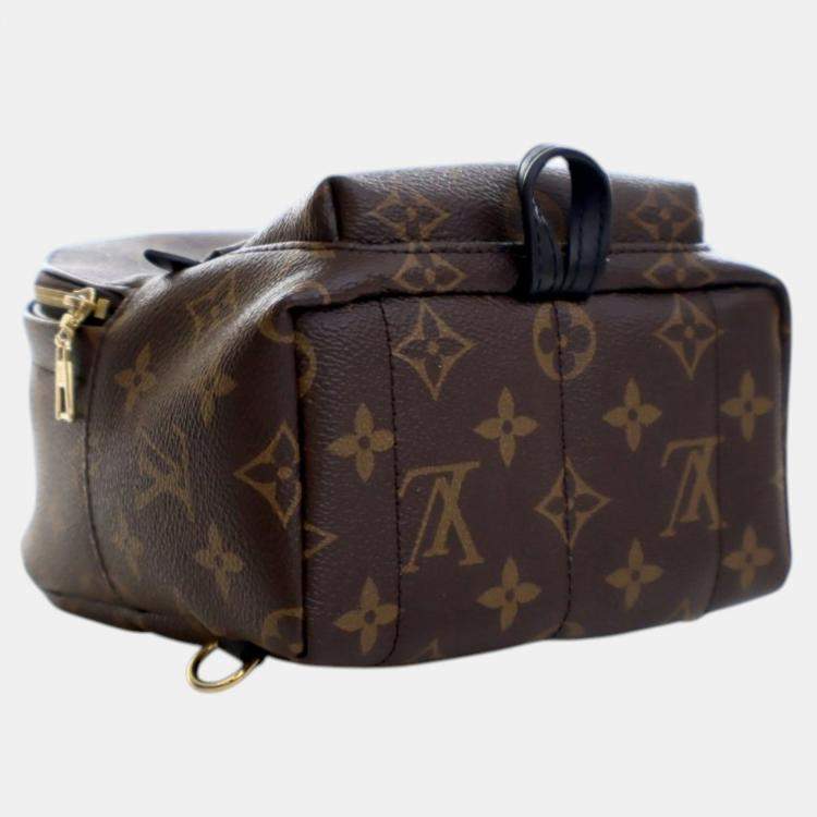 Pre Owned Louis Vuitton Brown Monogram Mini Palm Springs