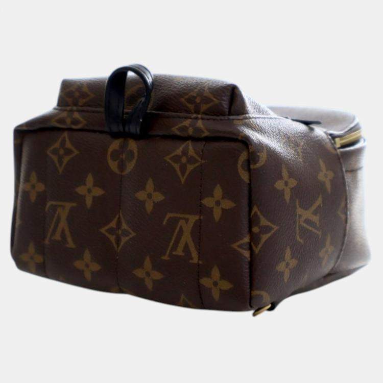Pre Owned Louis Vuitton Brown Monogram Mini Palm Springs