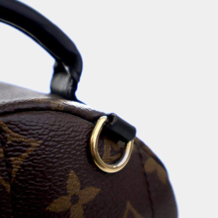Pre Owned Louis Vuitton Brown Monogram Mini Palm Springs