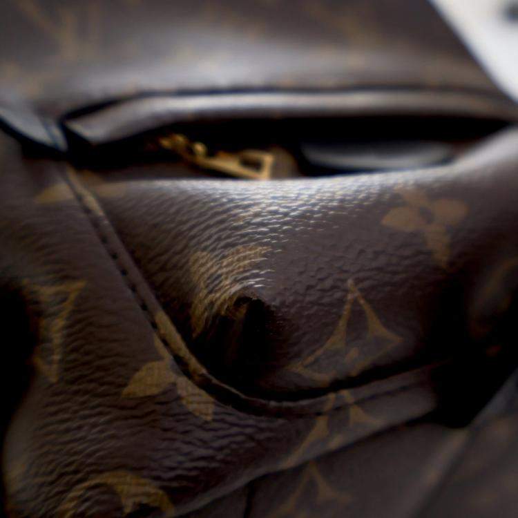 Pre Owned Louis Vuitton Brown Monogram Mini Palm Springs