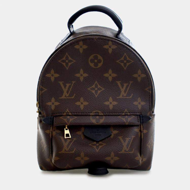 Pre Owned Louis Vuitton Brown Monogram Mini Palm Springs