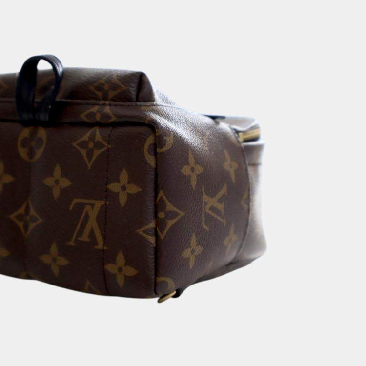 Pre Owned Louis Vuitton Brown Monogram Mini Palm Springs