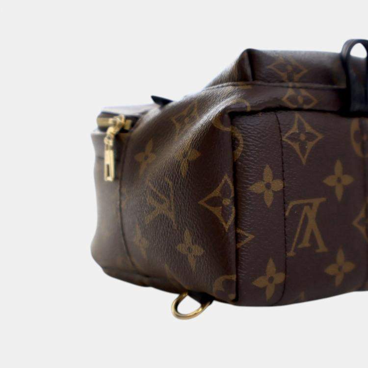 Pre Owned Louis Vuitton Brown Monogram Mini Palm Springs